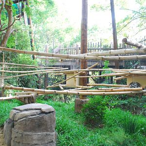 2013-12-19 SDZSP Lemur Walk