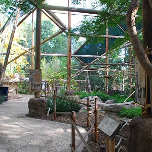 2013-12-19 SDZSP Lemur Walk