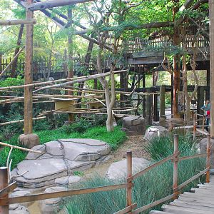 2013-12-19 SDZSP Lemur Walk