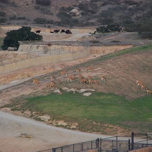 2013-12-19 SDZSP Central Asia