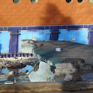 Afrykarium structure