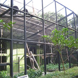 cage for white-handed gibbons (Hylobates lar)