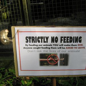 no feeding sign