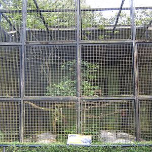 cage for binturongs (Arctictis binturong)