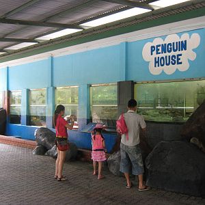 enclosure for Humboldts penguins (Spheniscus humboldti)