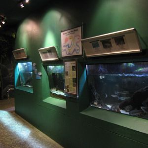 inside the Aquarium