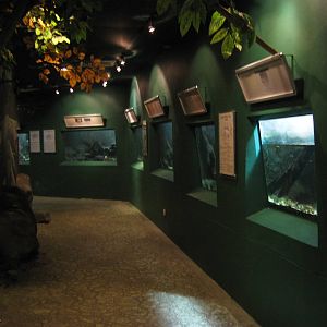 inside the Aquarium