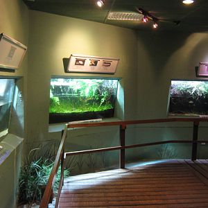 inside the Aquarium