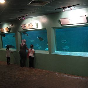 inside the Aquarium