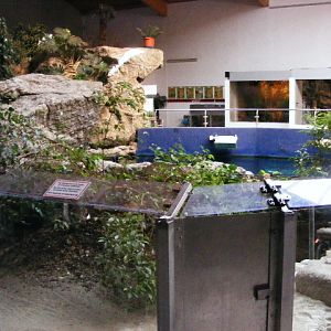 2013-09 Schmiding Aquazoo main hall