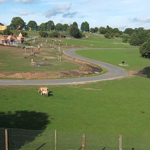 View of the Indian Rhino House from the SVR