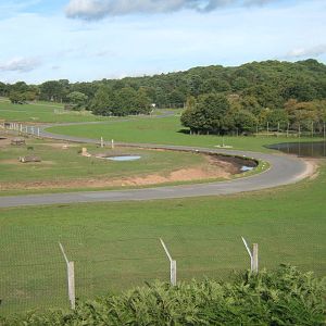 View of the Asian reserve from the SVR