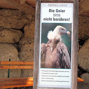 Griffon vulture sign at Zoo Hellbrunn Salzburg