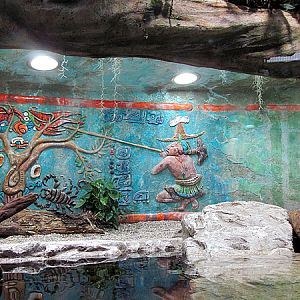 New Jaguar House at Zoo Hellbrunn Salzburg