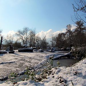 Paddock white rhinos at Zoo Hellbrunn Salzburg