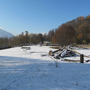 Paddock white rhinos at Zoo Hellbrunn Salzburg
