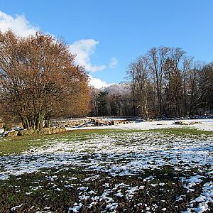 Paddock white rhinos at Zoo Hellbrunn Salzburg