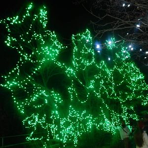 Festival of Lights 2013