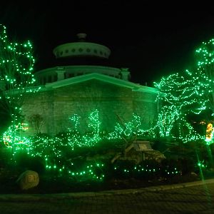 Festival of Lights 2013 - Reptile House