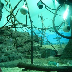 Festival of Lights 2013 - Night Hunters - Aardvark + Greater Bushbaby + Gia