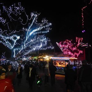 Festival of Lights 2013