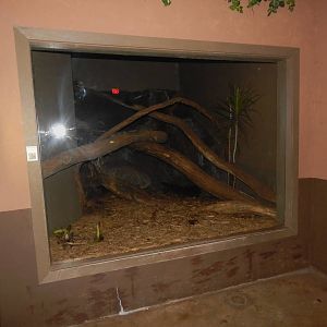 Festival of Lights 2013 - Dragons! - Crocodile Monitor Exhibit