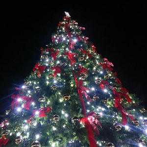 Festival of Lights 2013 - International Tree