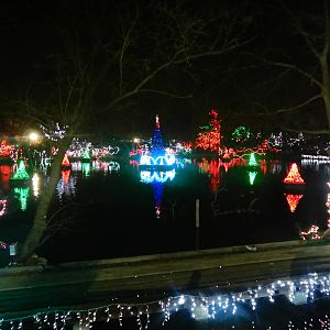 Festival of Lights 2013 - Swan Lake Wild Lights Show