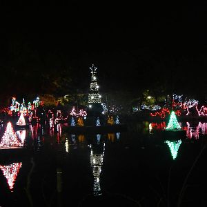 Festival of Lights 2013 - Swan Lake Wild Light Show