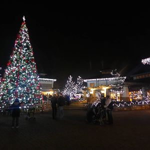 Festival of Lights 2013 - Historic Vine Street Village