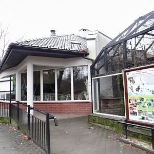 Pavilion of Goura victoria / Pavo muticus