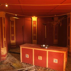 View of the Egyptian Fruit Bat,Seba`s Short-tailed Bat and Meerkat Exhibit