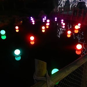 Festival of Lights 2013 - African Waterhole