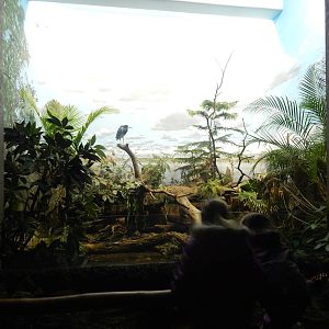 Festival of Lights 2013 - Wings of the World - Wetlands Exhibit