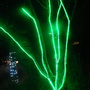 Festival of Lights 2013