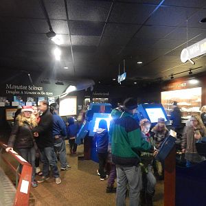 Festival of Lights 2013 - Manatee Springs - Manatee Wild Discovery Zone