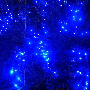 Festival of Lights 2013