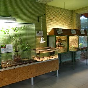 Pavilion of the vivarium