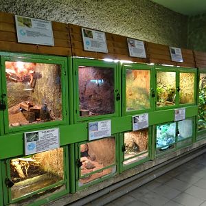 Pavilion of the vivarium