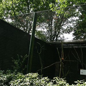 Aviary for Hornbills