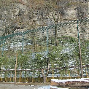Outdoor enclosure of jaguars at Zoo Salzburg