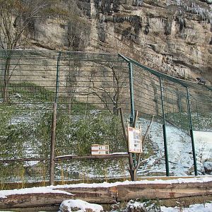 Outdoor enclosure of jaguars at Zoo Salzburg