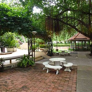 Entry path, June 2013.