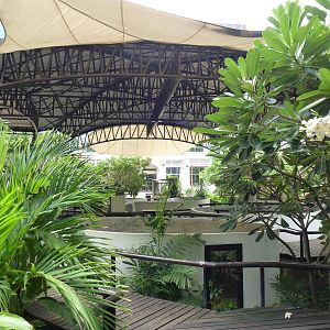 Covered serpentarium, June 2013.