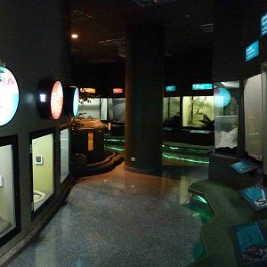 Indoor enclosures, June 2013.