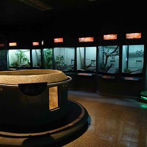 Indoor enclosures, June 2013.