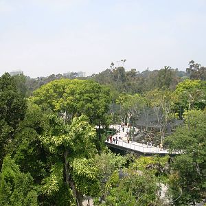 Overview of Monkey Trails Exhibits