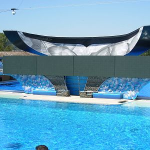 Killer Whale Show Stage