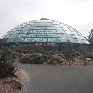 Sonora Desert - Exterior