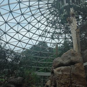 Sonora Desert - Interior